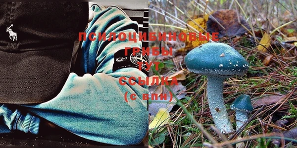 прущие крисы Алексеевка