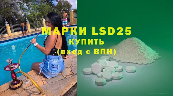 прущие грибы Абинск