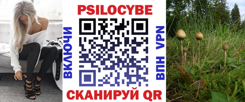 Псилоцибиновые грибы Cubensis  даркнет сайт  Алагир 
